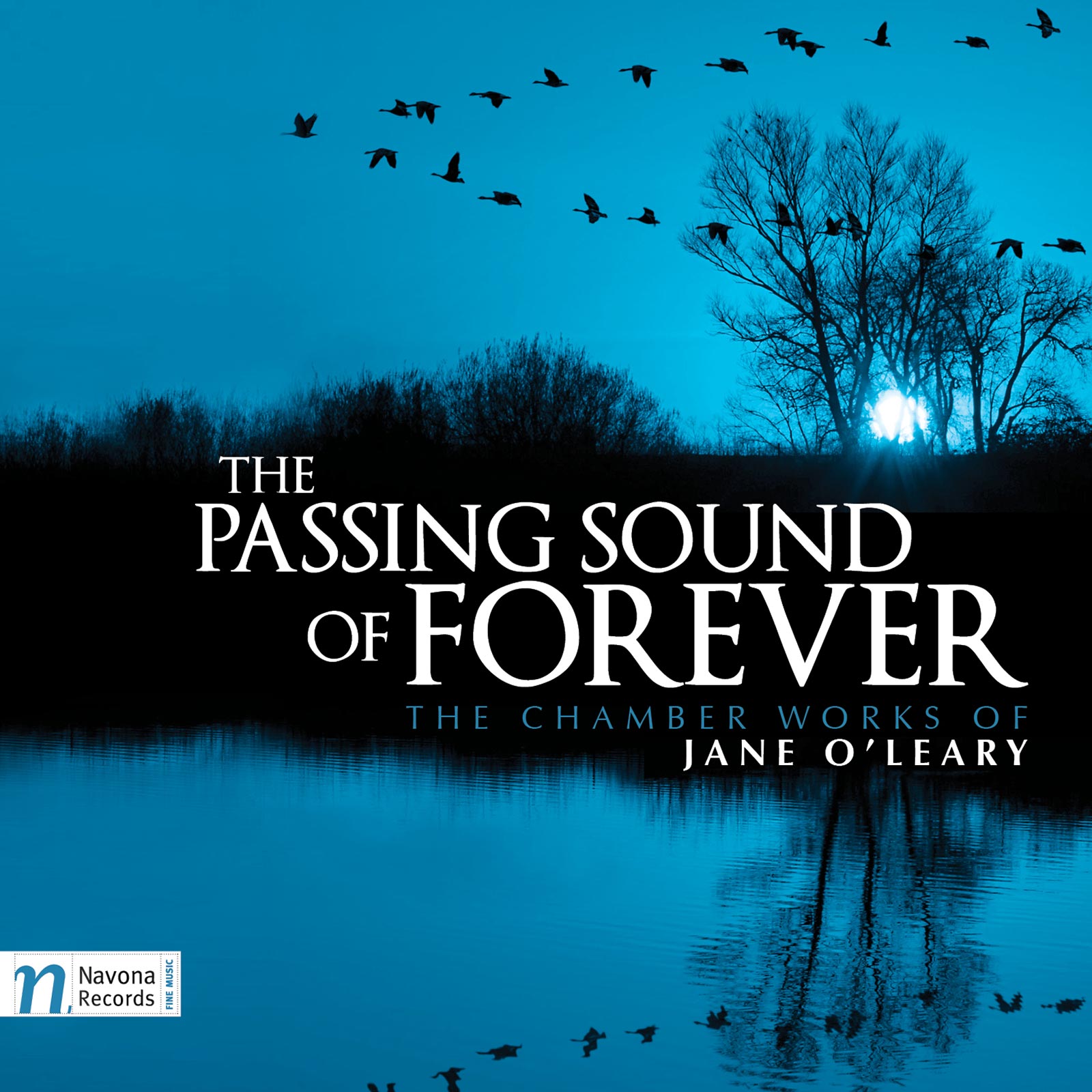 The Passing Sound of Forever