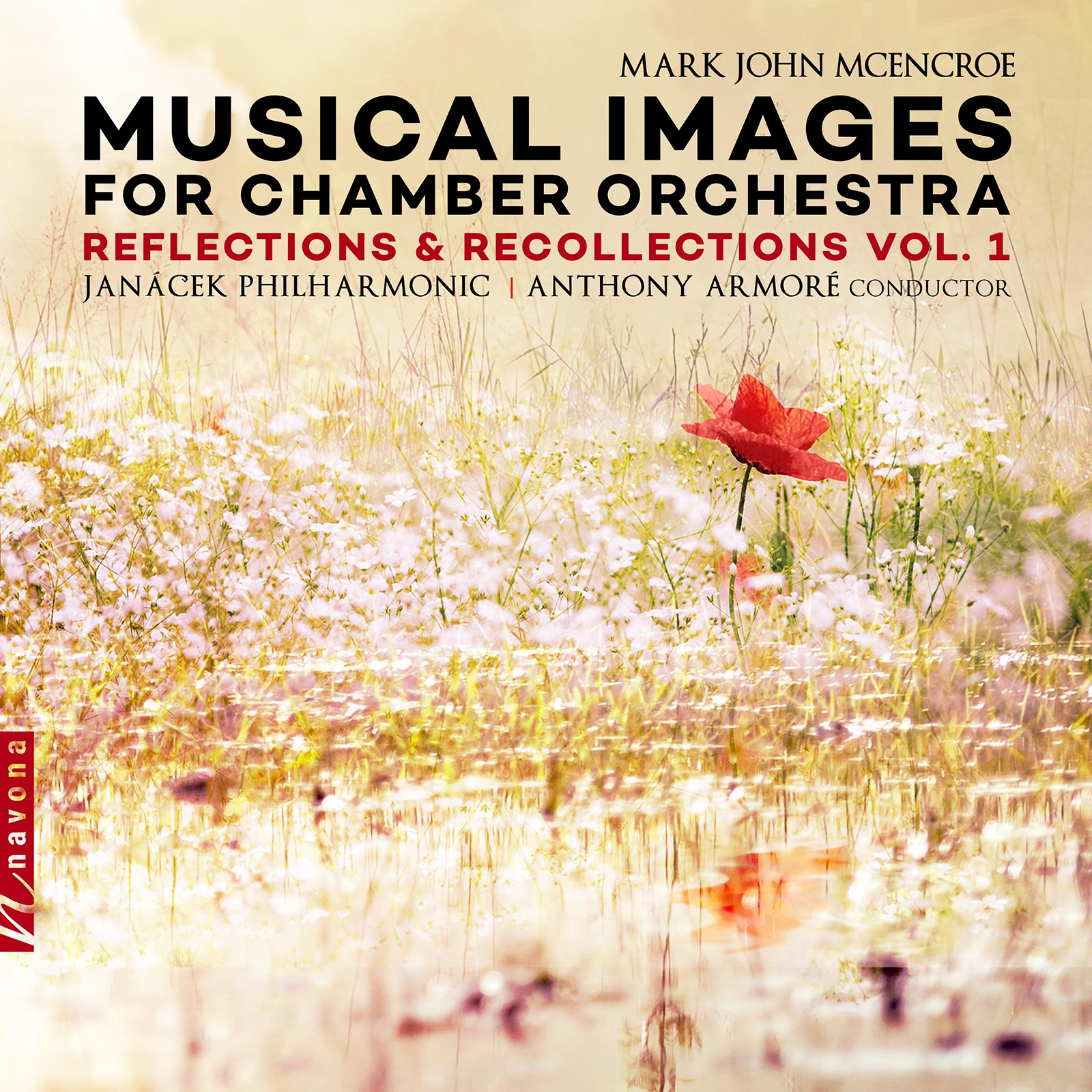 Musical Images For Chamber Orchestra