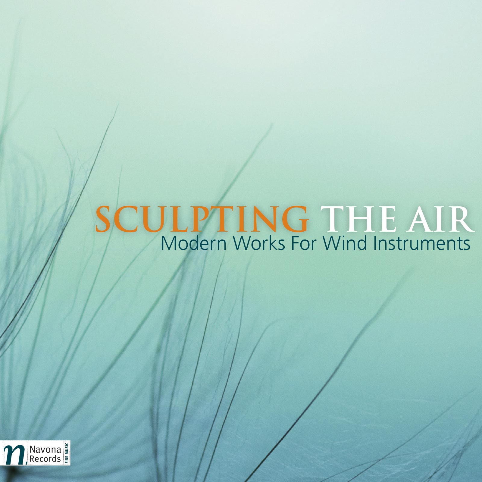 Sculpting the Air