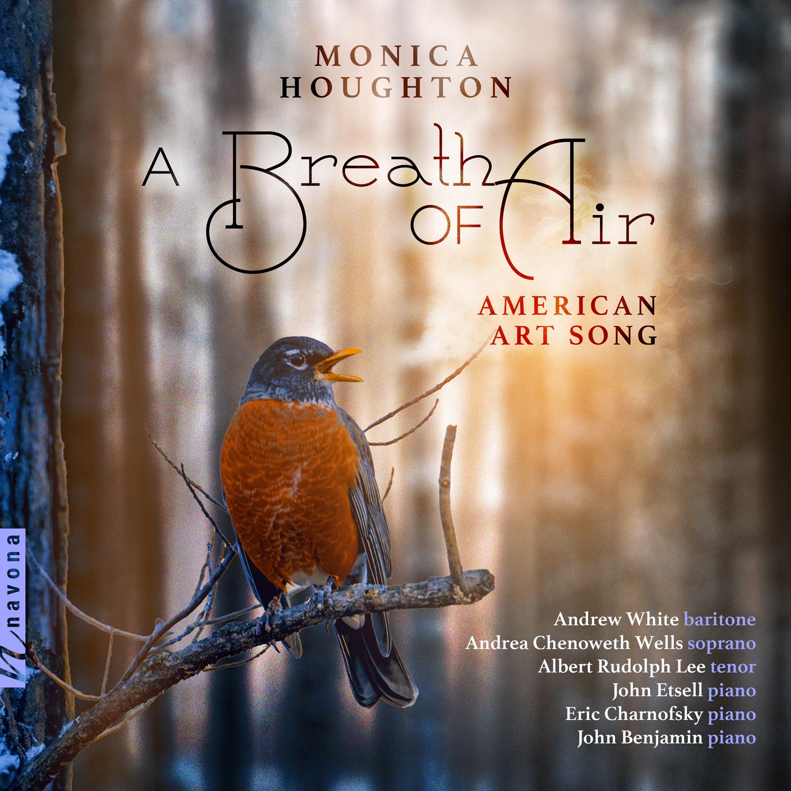A Breath of Air - album cover